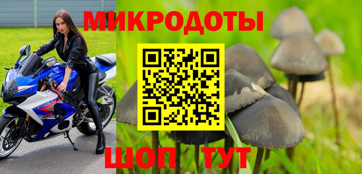 Галлюциногенные грибы Psilocybine cubensis Волгодонск